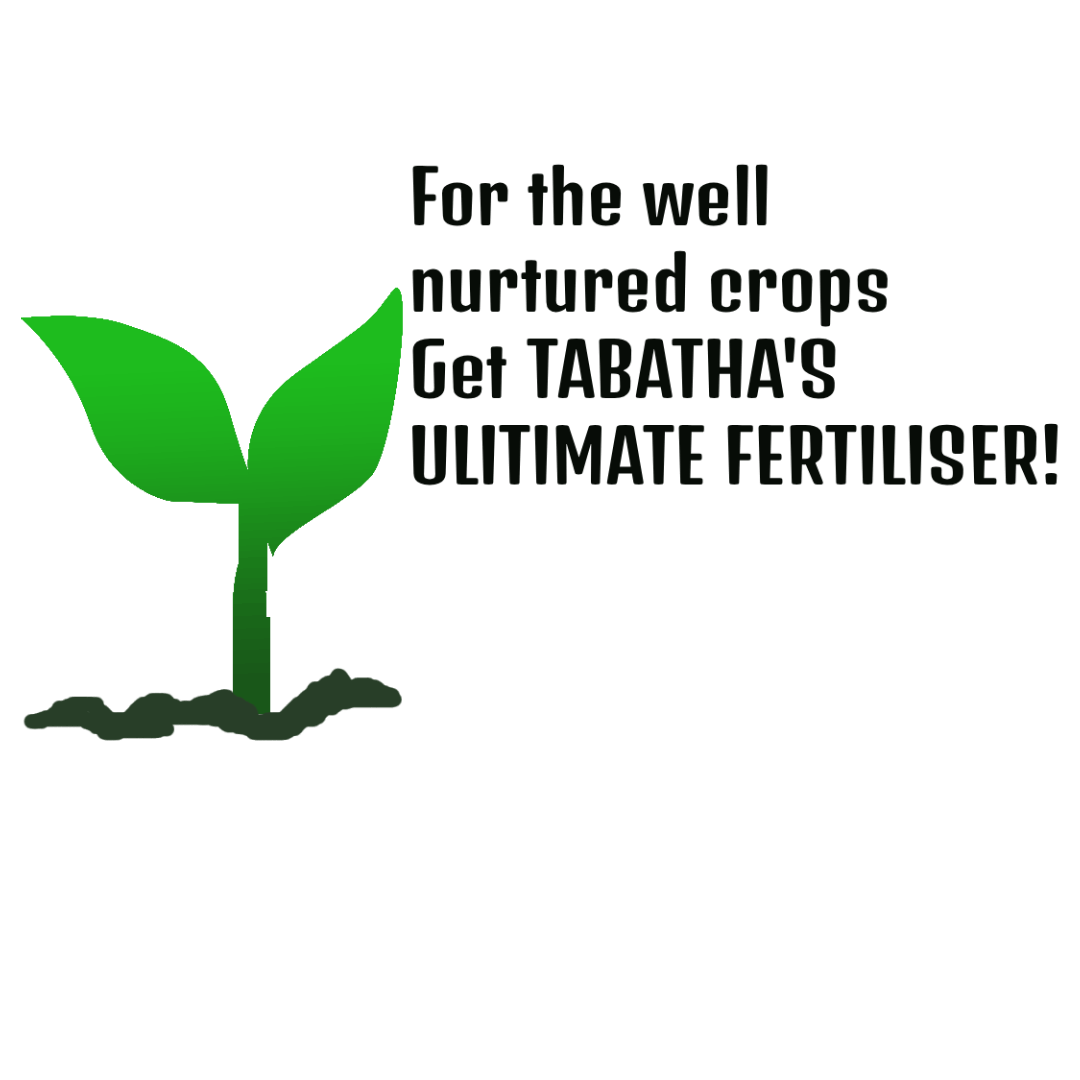 Image of Advertisement